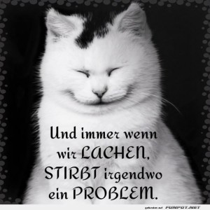 Katzenmeditation:-Lachen-statt-Probleme!.jpg von Brenda22