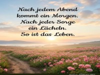 Morgensonne und Rosen f�r die Seele