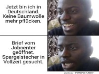 Von Baumwolle zu Spargel: Der Kulturschock