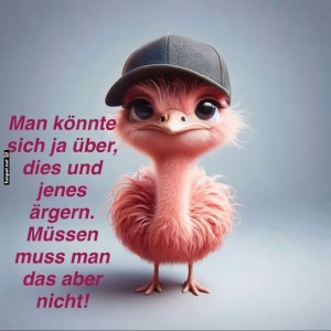 fun-Bild: Strau&szlig;en-Lebensweisheit: &Auml;rgern? Muss nicht sein!