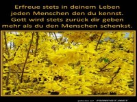 Erfreue stets in deinem Leben