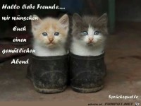 hallo liebe freunde