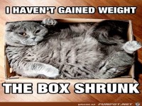 Ich bin nicht dicker geworden