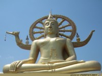 fuer Bildgenerator freigegeben 004072