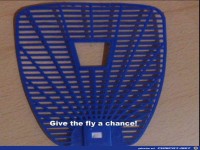 gib der fliege eine chance