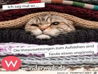 Ung�nstig