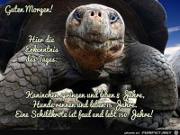 Erkenntnis des Tages