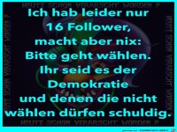 16 Follower