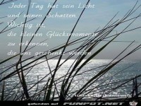 jeder tag hat sein licht
