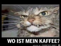 Wo ist der Kaffee?