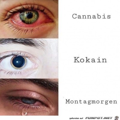 Der-Montag-wieder.jpg von Lasse