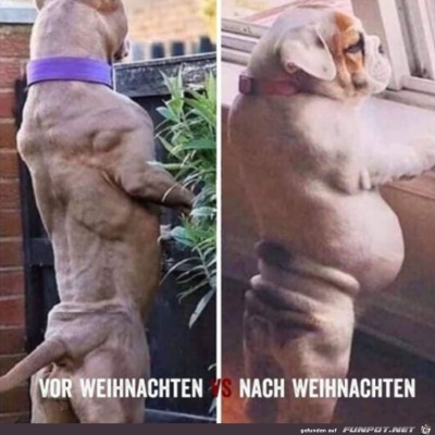Vor-und-nach-Weihnachten.jpg von Emilia
