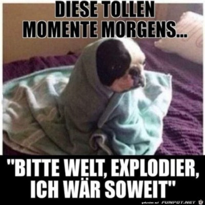 Früh-morgens.jpg von Sweetheart