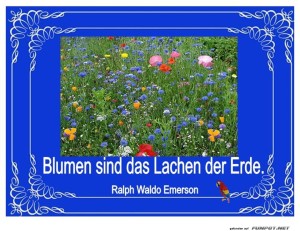 Blumen-sind-das-Lachen-der-Erde-2.jpg auf www.funpot.net