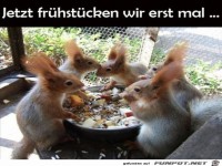Leckeres Fr�hst�ck