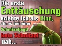 Entt�uschung