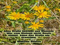 alles groe besteht