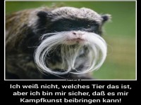 Tier mit beeindruckendem Schnurrbart