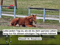 Lebe jeden Tag