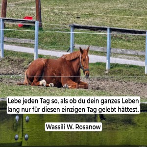 Lebe-jeden-Tag.jpg von Fabioma