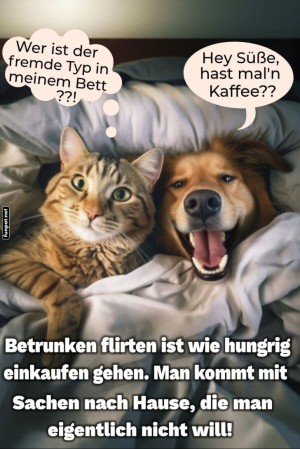 Katerstimmung-im-Doppelbett!.jpg auf www.funpot.net