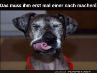 Zungenk�nstler auf vier Pfoten!