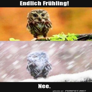 Endlich-Fr�hling.jpg von Brenda22
