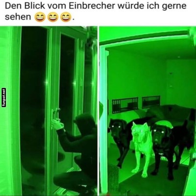 Alarmanlage-aus-Hunden.jpg von Felia-51