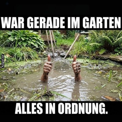 Gartenarbeit:-Wenn-der-Teich-pl&ouml;tzlich-tiefer-wird.jpg von Queen92