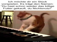 Das billige Futter gekauft