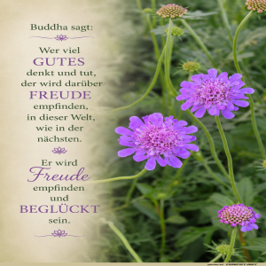 buddha-sagt.png von Fabioma