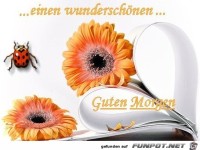 Einen wunderschoenen