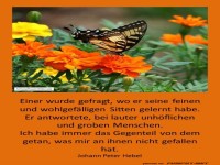 Wohlgefaellige Sitten