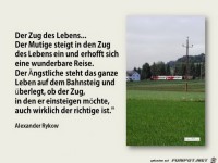 der zug des lebens
