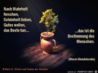 Die Bestimmung der Menschen