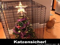 Katzensicher
