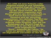 Ein LKW mit einer Pritsche voller Pinguine kommt an eine...