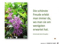 die schoenste Freude
