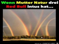 wenn mutter natur