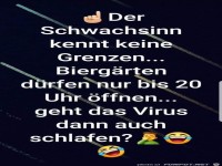 Der Schwachsinn