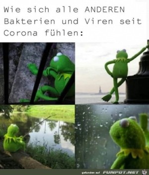 Andere-Viren-und-Bakterien-haben-derzeit-Urlaub.jpg auf www.funpot.net