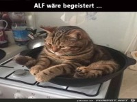 Alf w�rde sich freuen