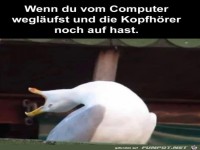 Die Kopfh�rer noch auf