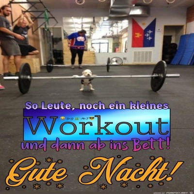 Workout.jpg von Bonobo666