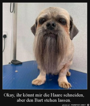 Der-Bart-bleibt-dran.jpg auf www.funpot.net