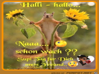 Halli - hallo