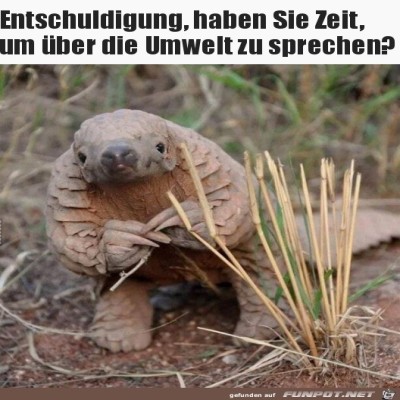 Hast-du-Zeit?.jpg von Pius