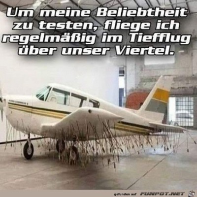 Zu-tief-geflogen.jpg von Pius