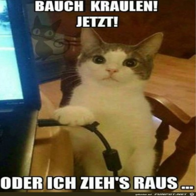 Katze-spricht-Machtwort.jpg von Theda
