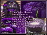 Tage voller Sorgen